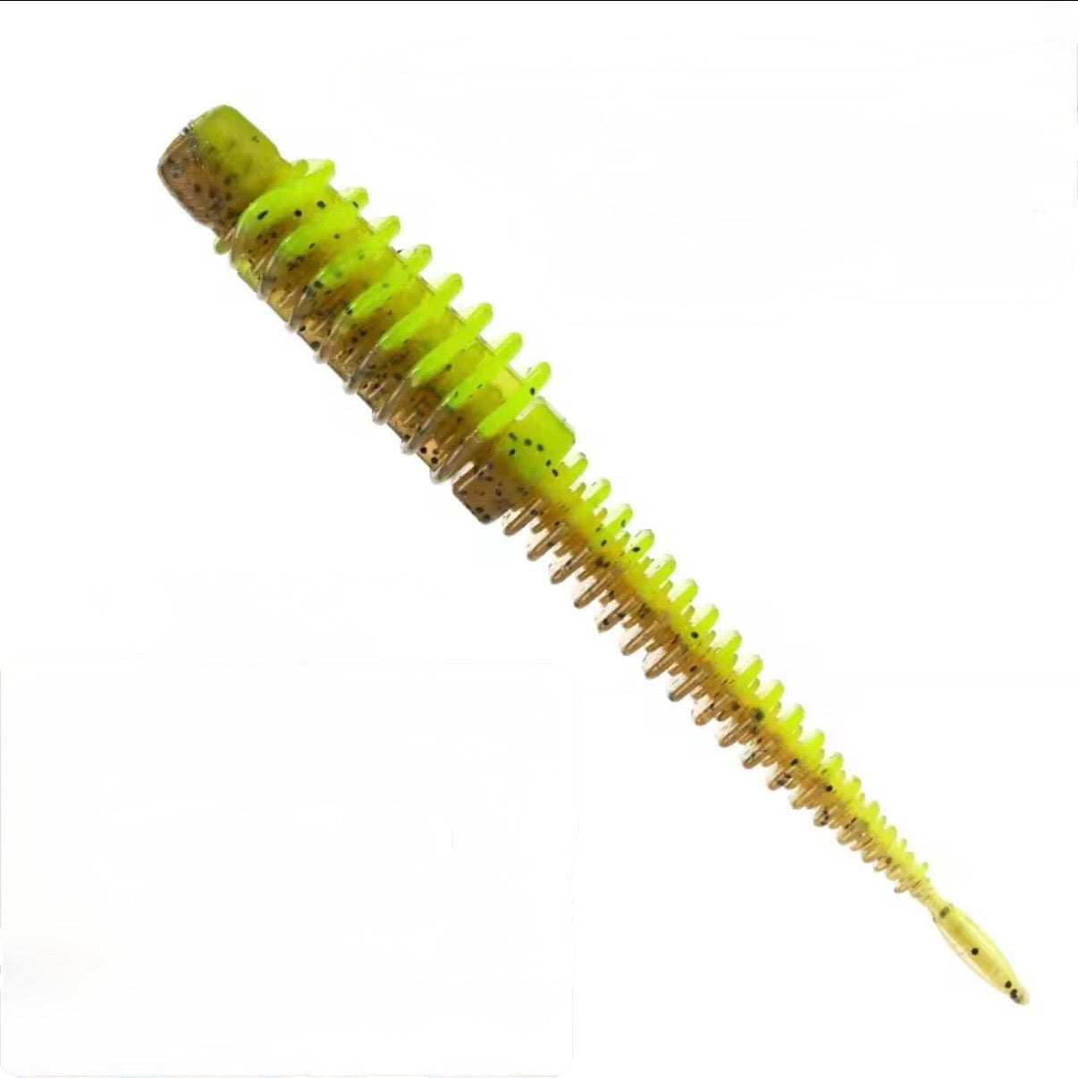 Ribworm