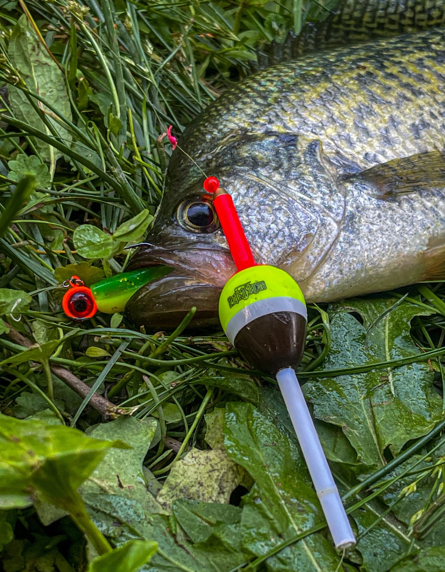 Slip Bobber 1/16oz