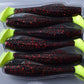 Paddle Shad