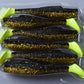 Paddle Shad