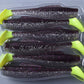 Paddle Shad