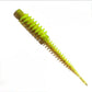 Ribworm