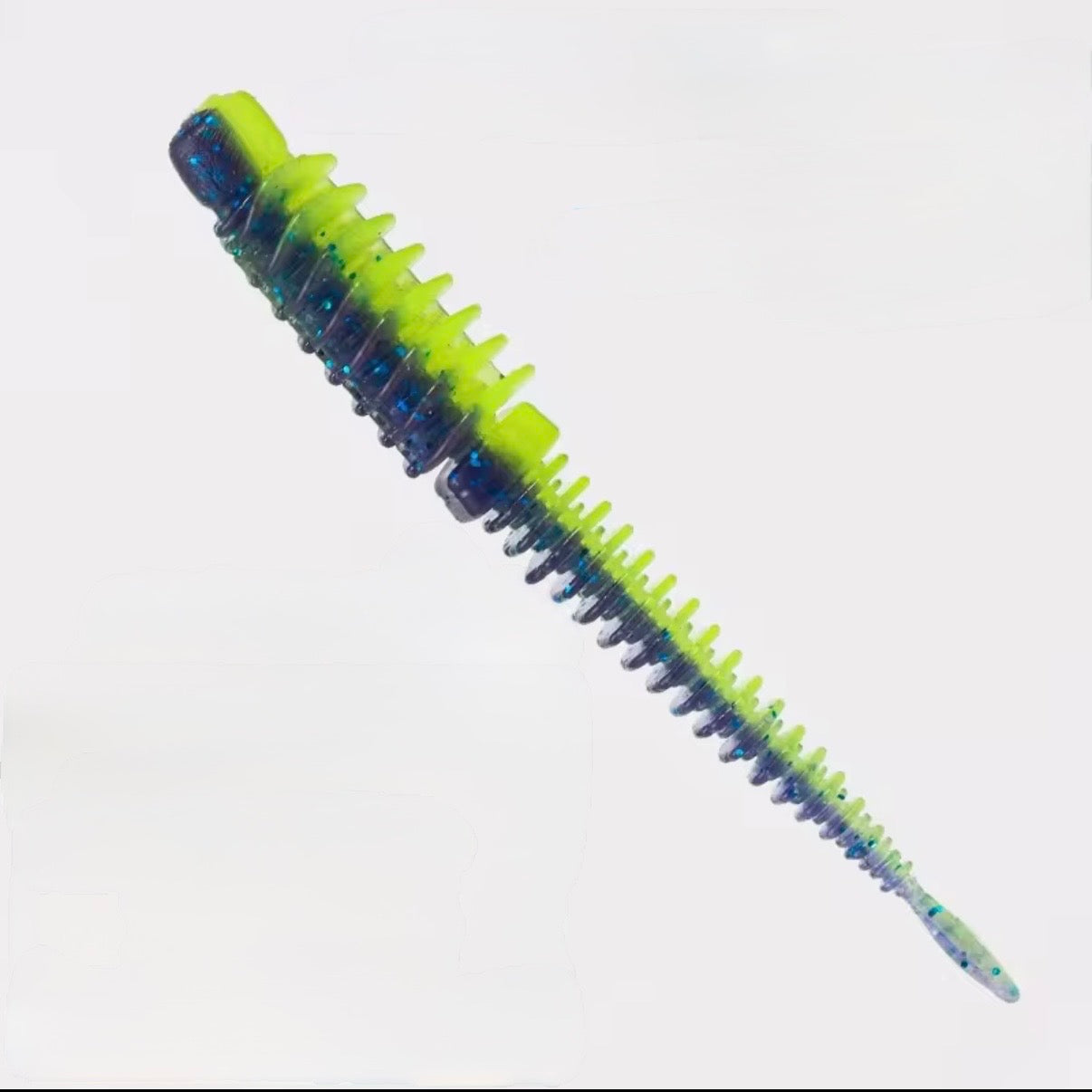 Ribworm