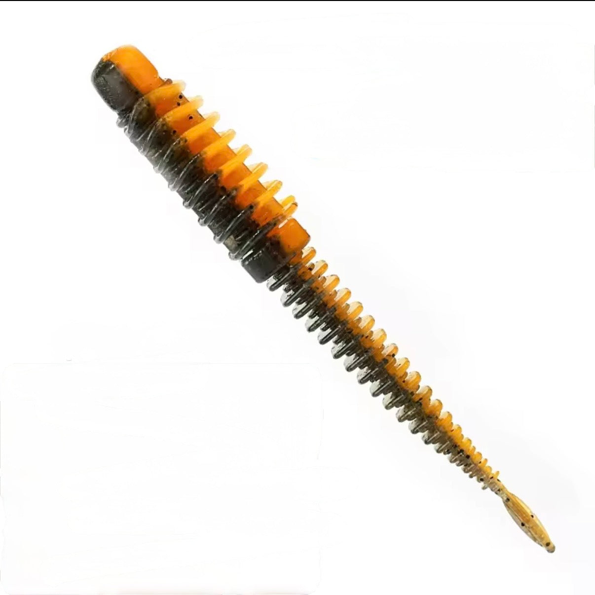 Ribworm