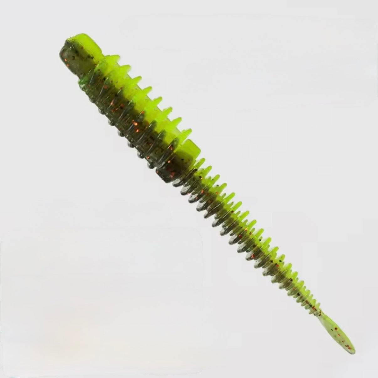 Ribworm