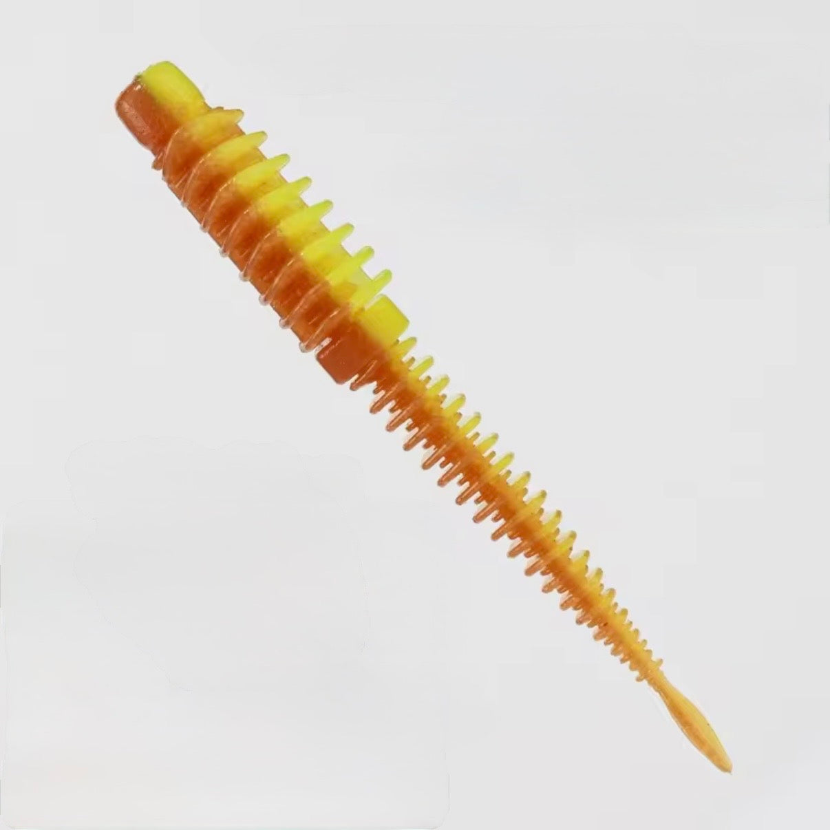 Ribworm