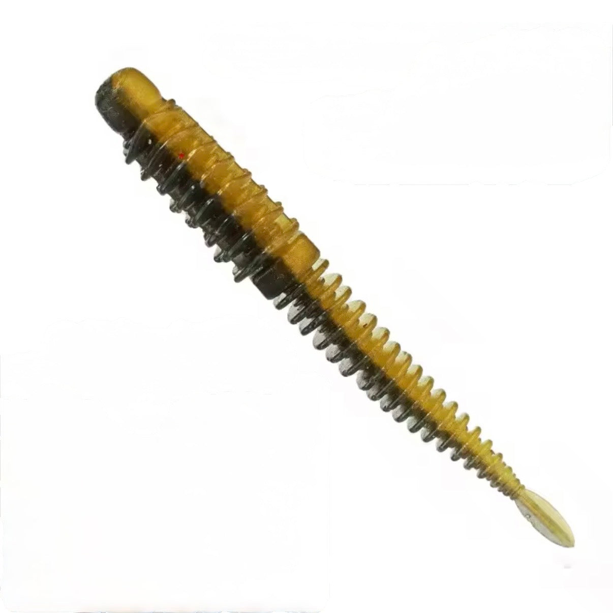 Ribworm