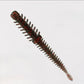 Ribworm