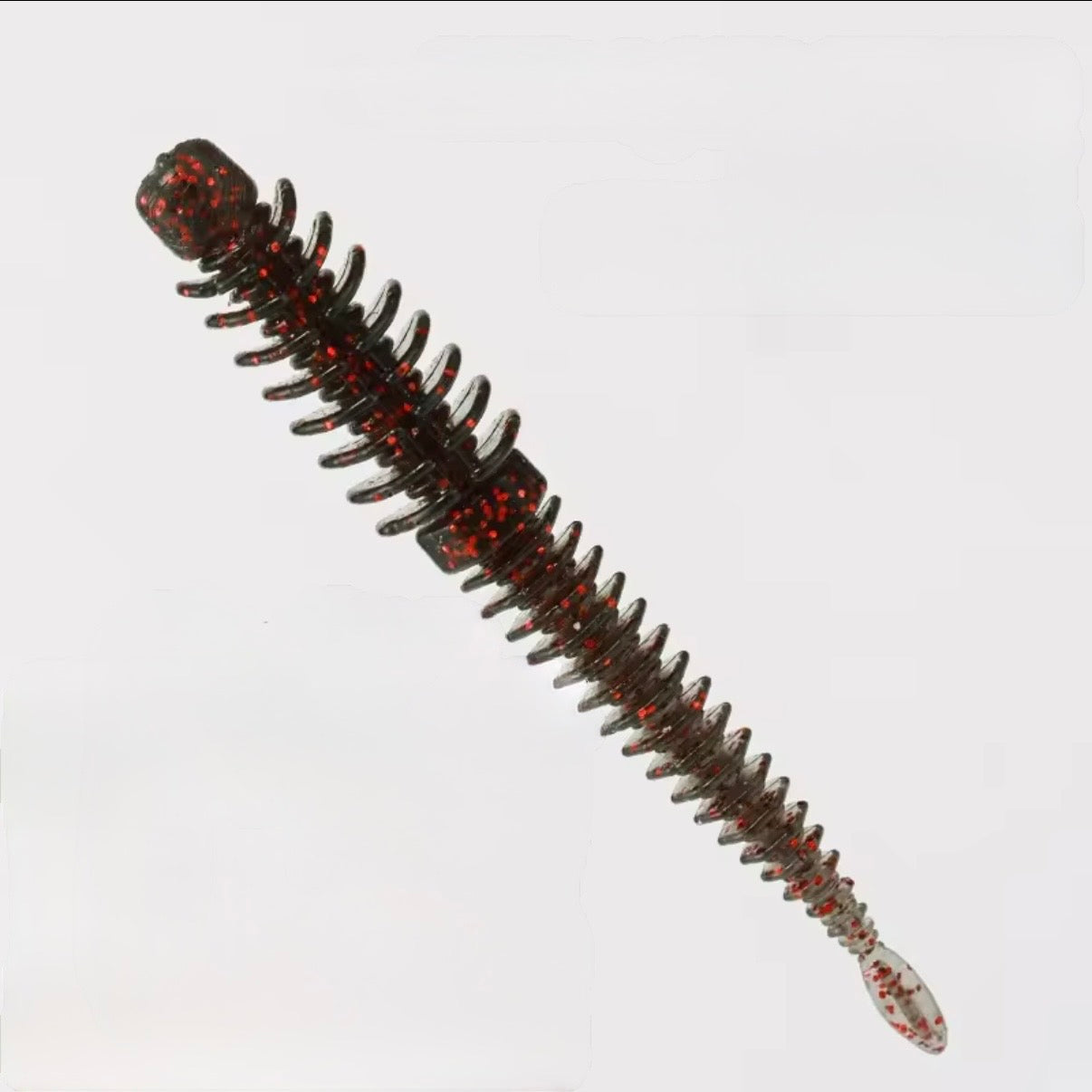 Ribworm